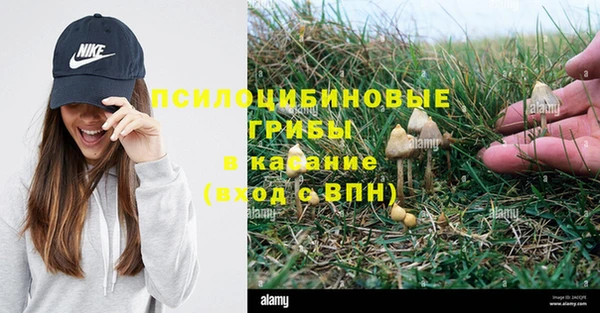твердый Бронницы