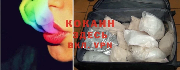 spice Бородино