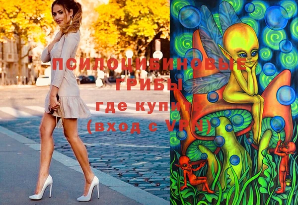 твердый Бронницы