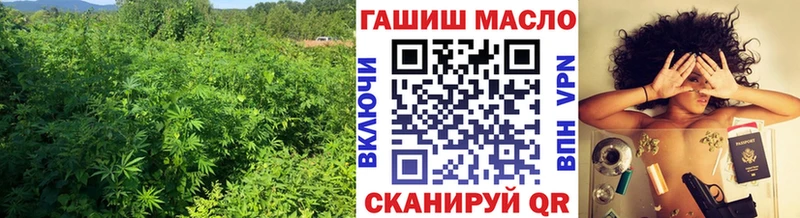 ТГК гашишное масло  Купить закладки  Алушта 