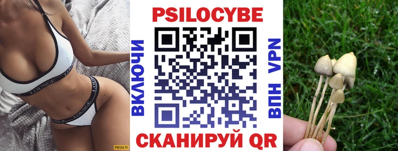 Купить закладки  Алушта  Псилоцибиновые грибы Magic Shrooms 